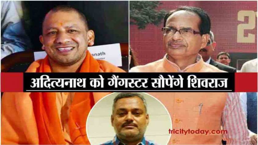विकास दुबे की गिरफ्तारी के बाद शिवराज सिंह चौहान ने योगी आदित्यनाथ को फोन किया, जानिए क्या बात हुई