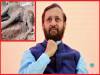 गर्भवती भूखी हथिनी के हत्या आरोपी जल्द पकड़ा जाएगा: प्रकाश जावड़ेकर