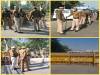 Farmers' Protest Updates: नोएडा-दिल्ली बॉर्डर छावनी में तब्दील, ईस्टर्न पेरीफेरल एक्सप्रेस-वे पर भारी फोर्स तैनात