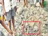 BIG BREAKING: बुलंदशहर स्कूल में भराव के लिए लाई गई मिट्टी से निकले नर कंकाल, सनसनी फैली