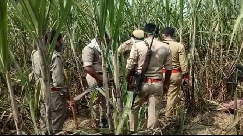 ग्रेटर नोएडा में व्यक्ति की गोली मारकर हत्या, गन्ने के खेत में पड़ा मिला शव