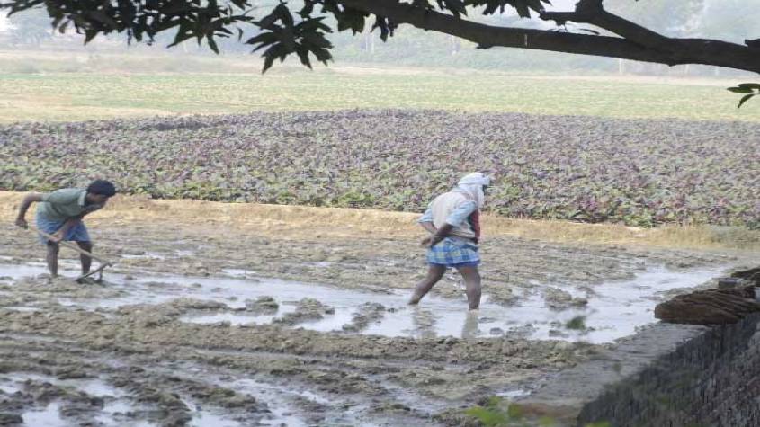 गौतमबुद्ध नगर में पहली बार किसानों को सर्किल रेट का 4 गुना मुआवजा मिलेगा, केंद्र सरकार का यह विभाग देगा