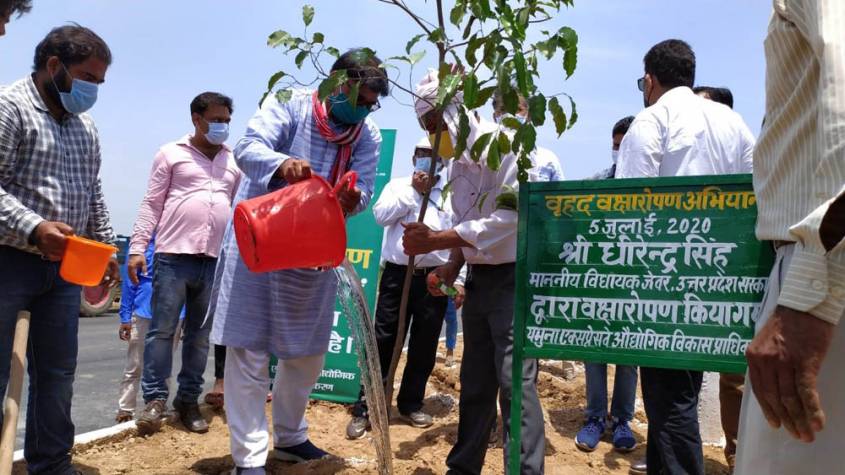 यमुना प्राधिकरण क्षेत्र में विधायक धीरेन्द्र सिंह ने लगाए 01 लाख 12 हजार पौधे